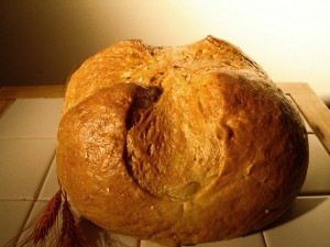 Gömbölyű kilós kenyér