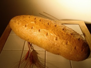 Kocsma kenyér